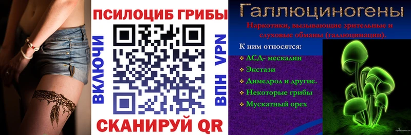 купить  цена  Александровское  Галлюциногенные грибы Psilocybe 