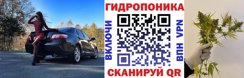 Конопля гибрид Александровское